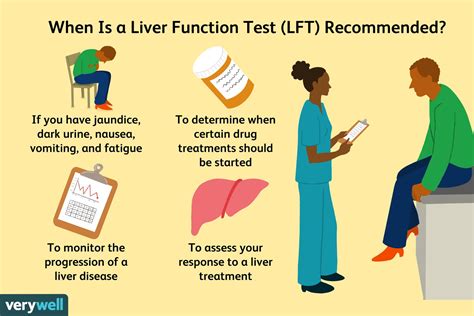 what is a liver soft tissue test|liver enzyme testing.